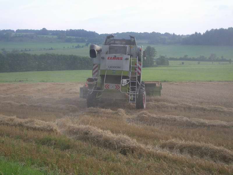bilder/22_8_2005/lexion_23.jpg