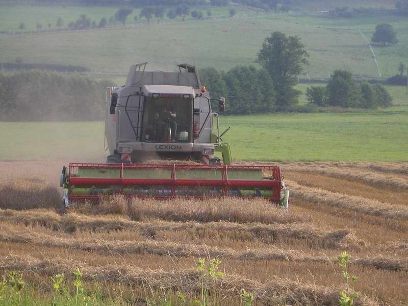 lexion_27.jpg