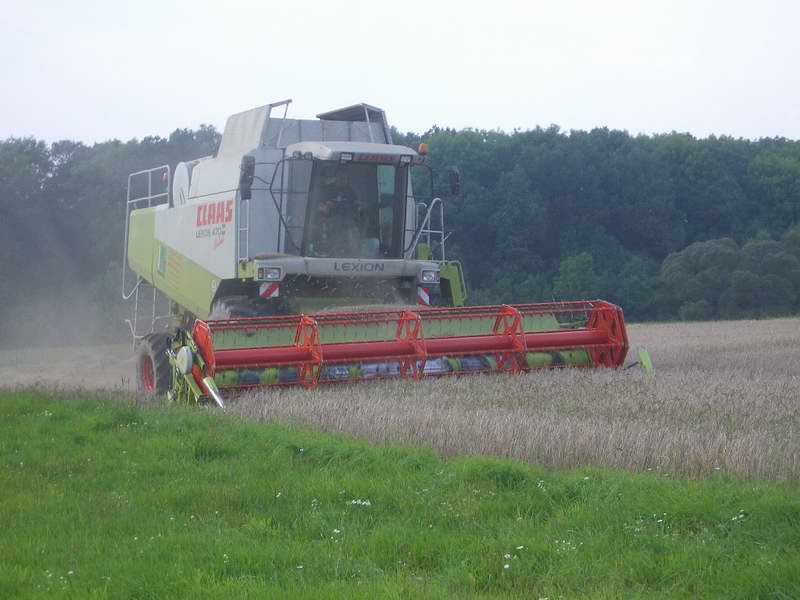 lexion_3.jpg