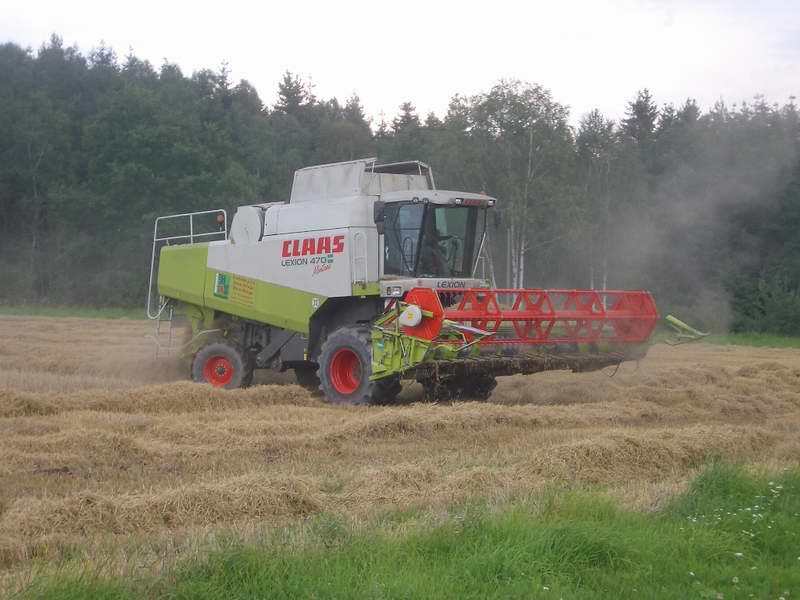 lexion_31.jpg