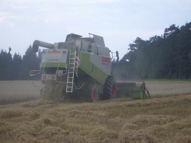 lexion_35.jpg