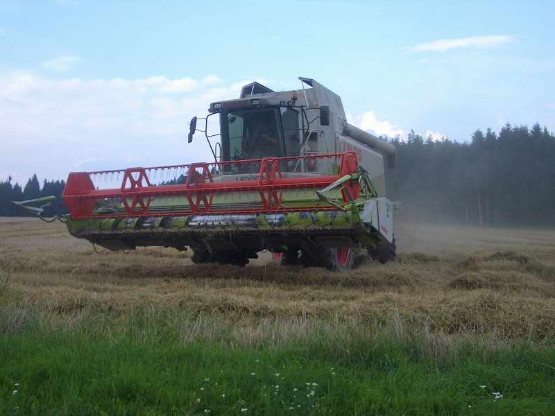 lexion_46.jpg