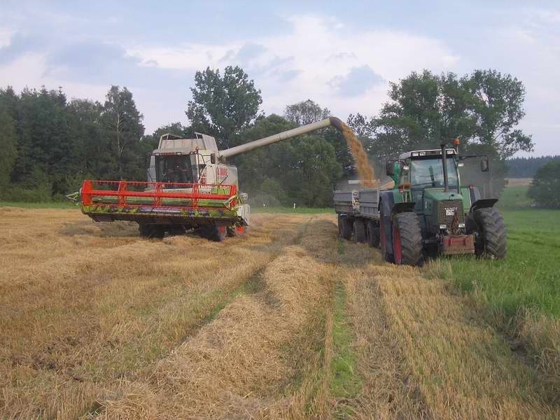 bilder/22_8_2002/lexion_22.jpg