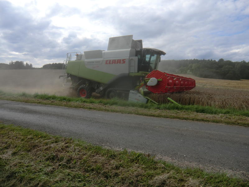 bilder/22_8_2014/CIMG7762.jpg