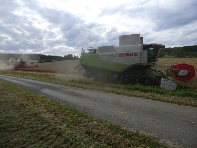 bilder/22_8_2014/CIMG7764.jpg