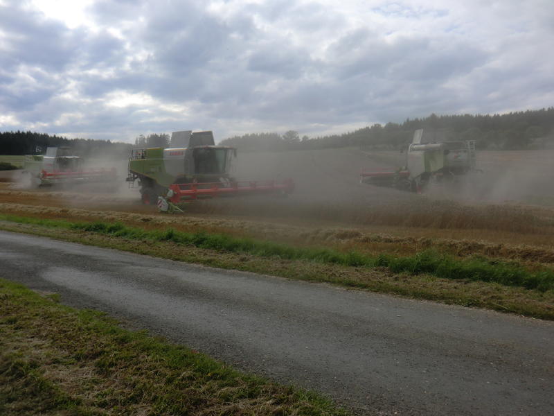 bilder/22_8_2014/CIMG7767.jpg