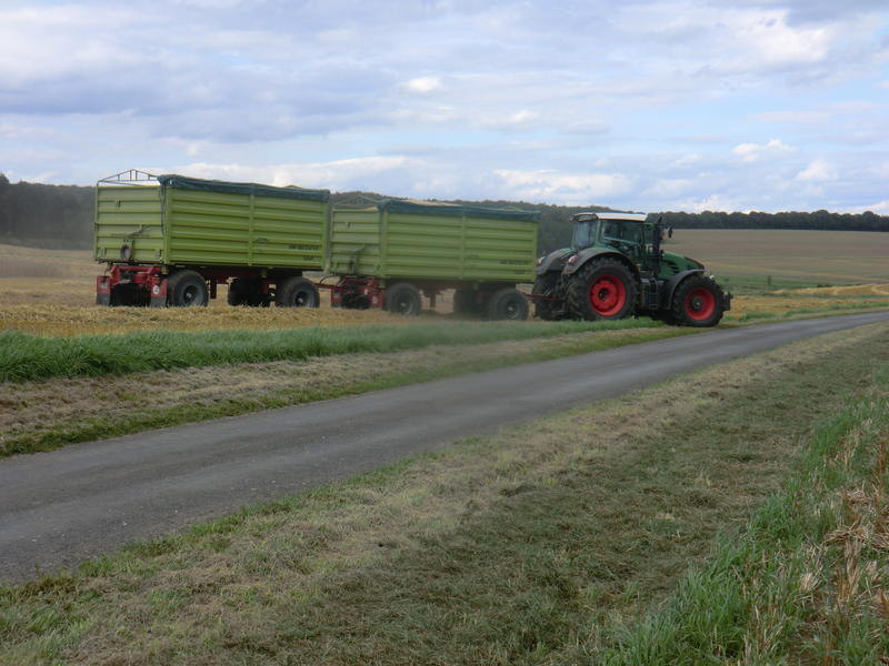 CIMG7787.jpg