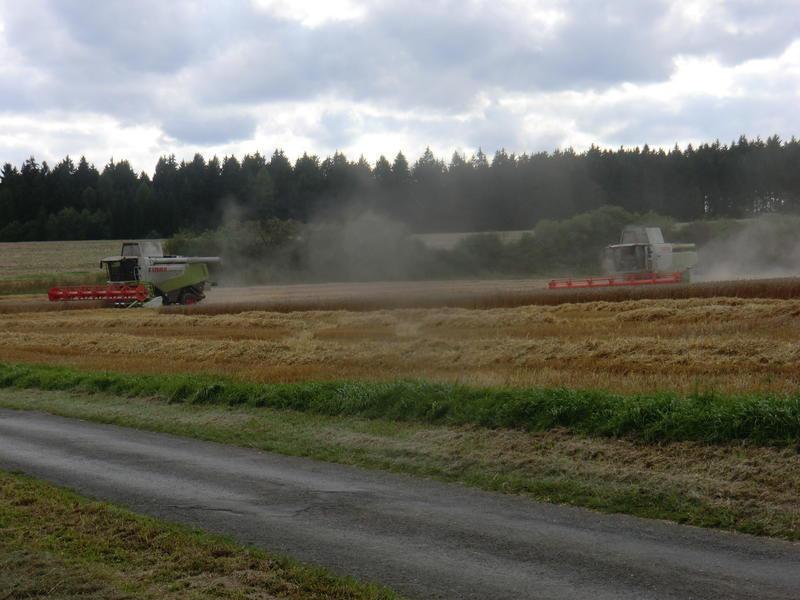 bilder/22_8_2014/CIMG7790.jpg