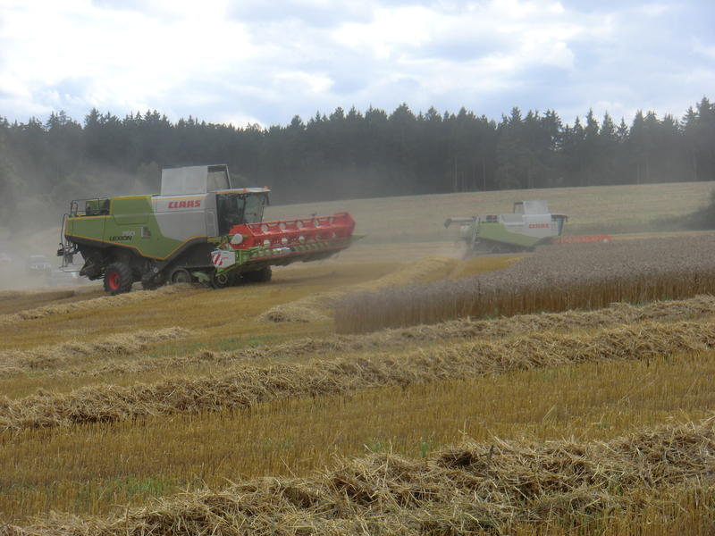 bilder/21_5_2002_2/xerion_+_zt_303_3.jpg
