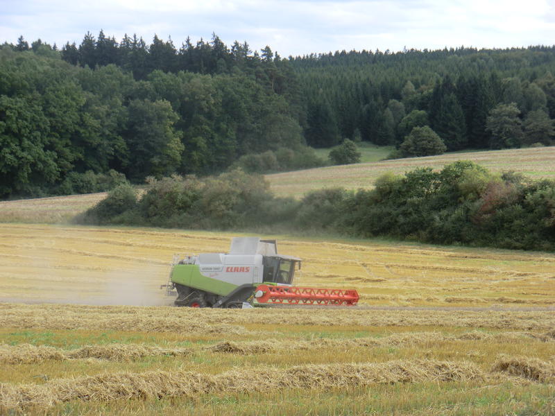 bilder/22_8_2014/CIMG7810.jpg
