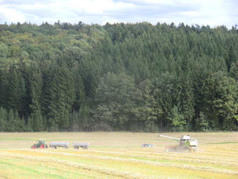 bilder/22_8_2014/CIMG7814.jpg