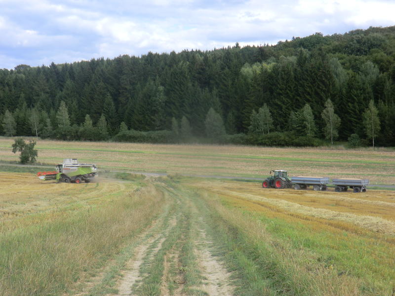 bilder/22_8_2014/CIMG7819.jpg