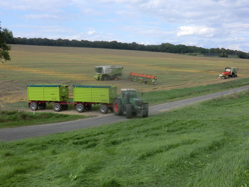 bilder/3_10_2012/CIMG1490.jpg