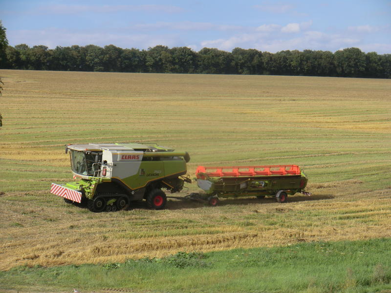 bilder/16_7_2014/CIMG7281.jpg