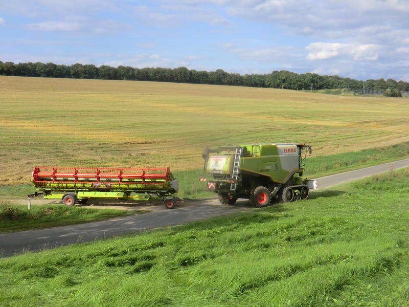 CIMG7830.jpg