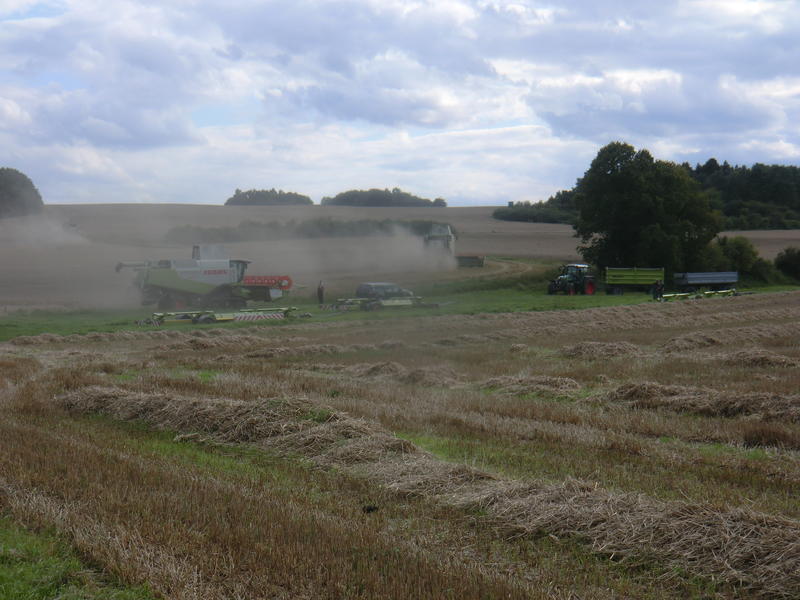 CIMG7836.jpg