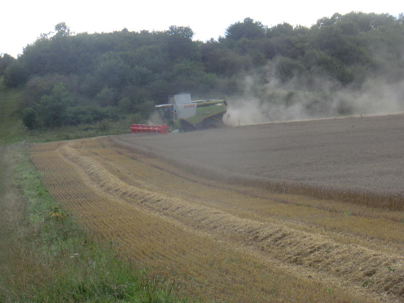 CIMG7844.jpg