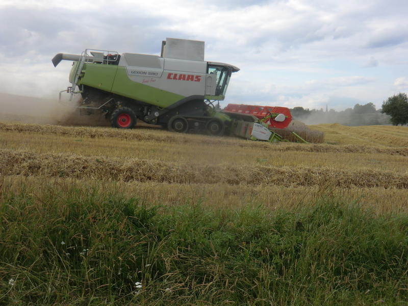 bilder/8_6_2013/CIMG7814.jpg