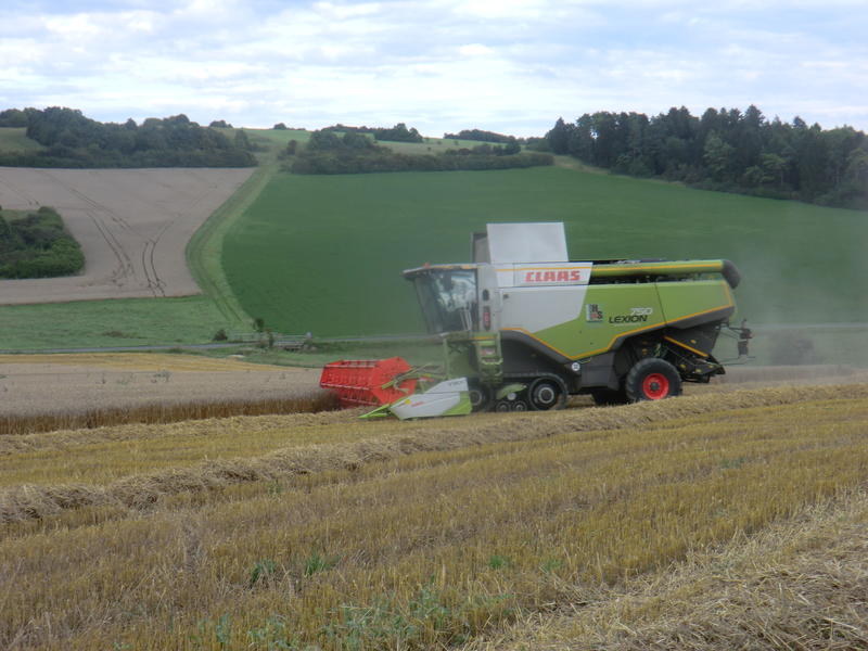 bilder/25_5_2012/CIMG8394.jpg