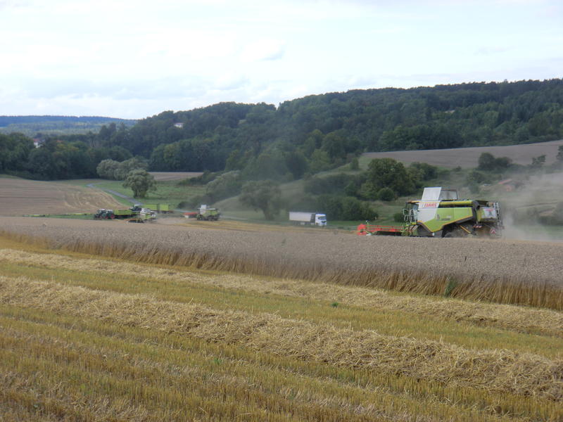 bilder/22_8_2014/CIMG7866.jpg