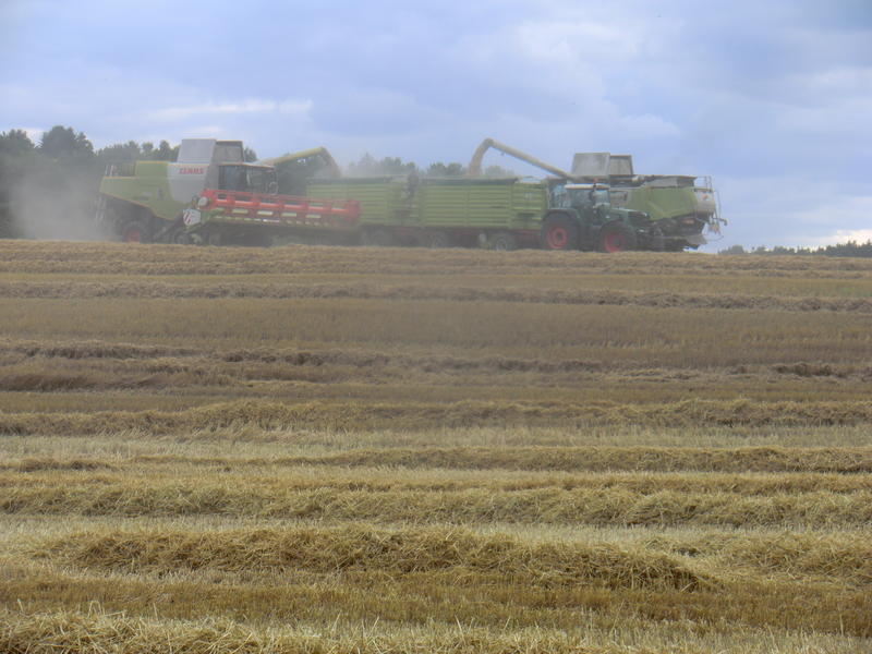 CIMG7883.jpg