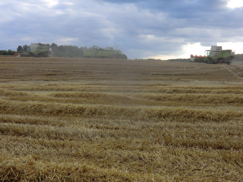 CIMG7886.jpg