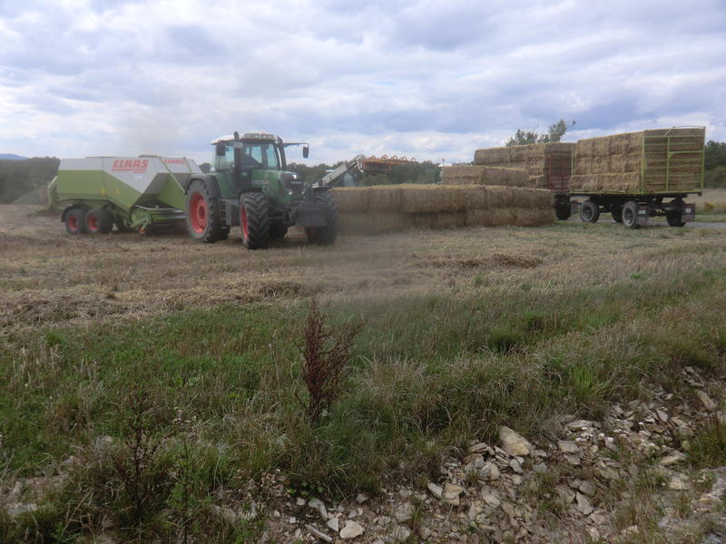 CIMG7723.jpg