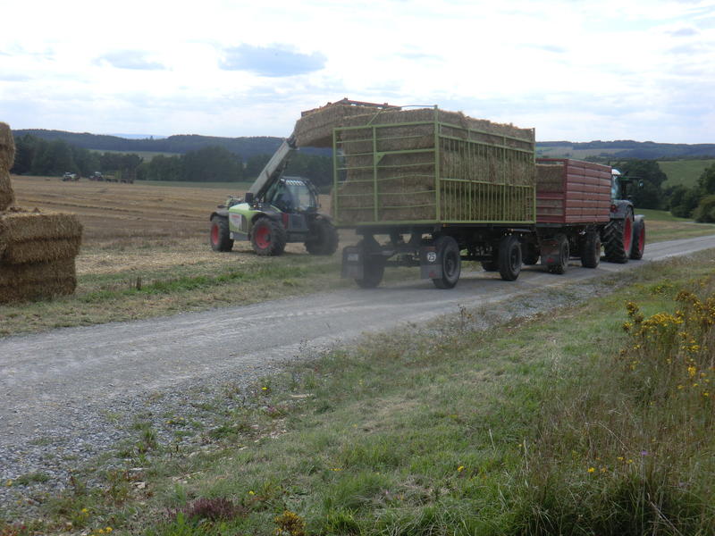 bilder/22_8_2014_2/CIMG7727.jpg