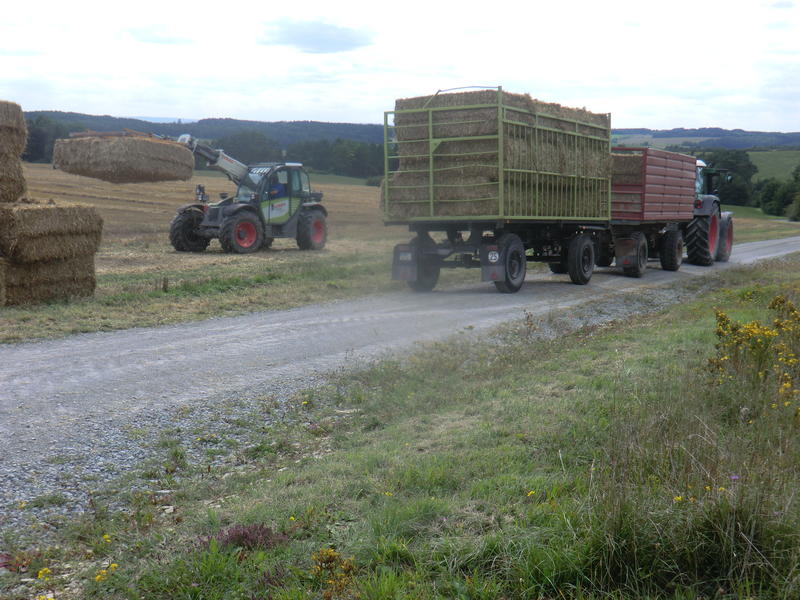 bilder/2023_06_07/IMG-20230607-WA0022.jpg