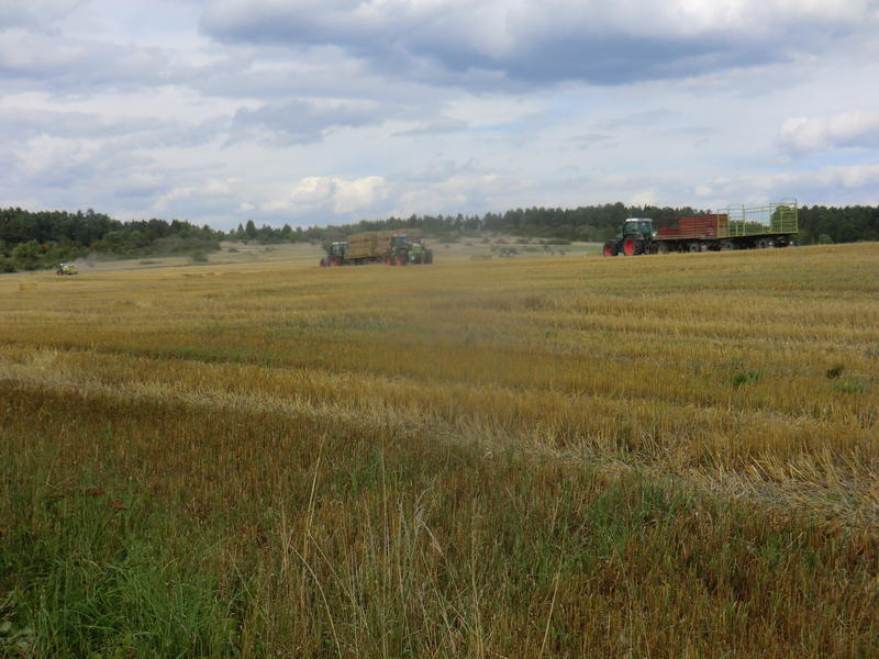 bilder/5_10_2014/CIMG8098.jpg