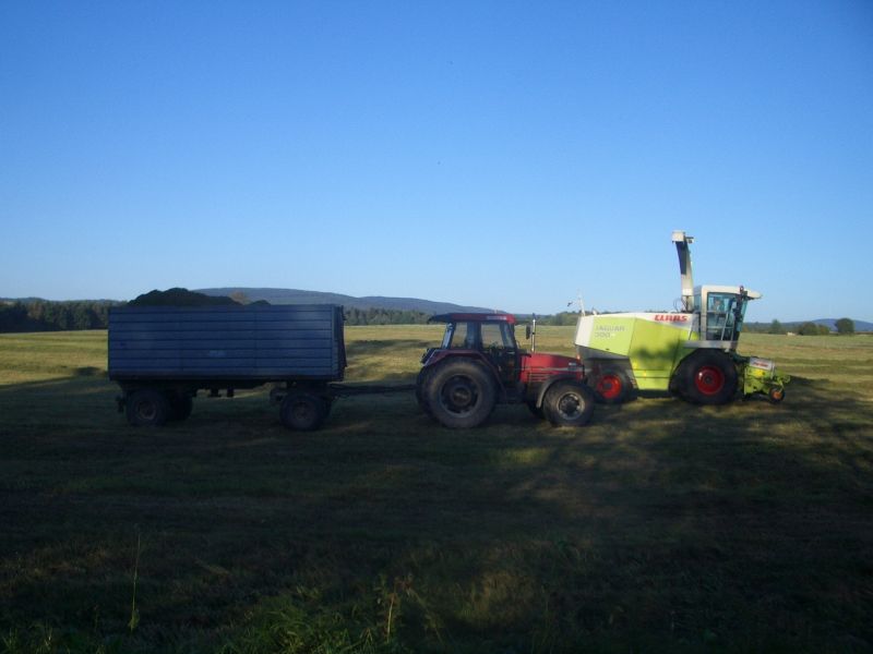 IMGP6475.jpg