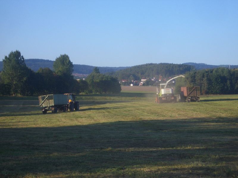 IMGP6482.jpg