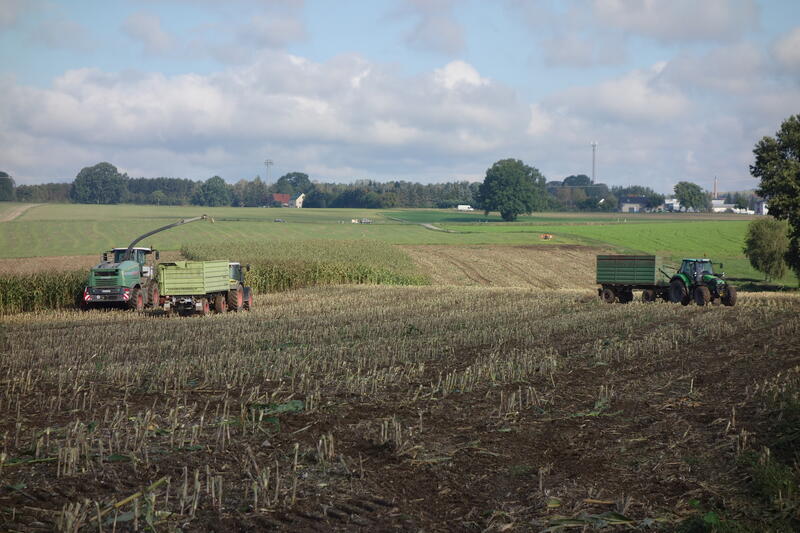 DSC03670.jpg