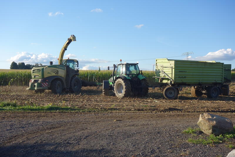 bilder/7_8_2004/lexion_12.jpg
