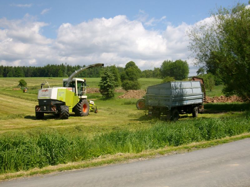 IMGP5727.jpg