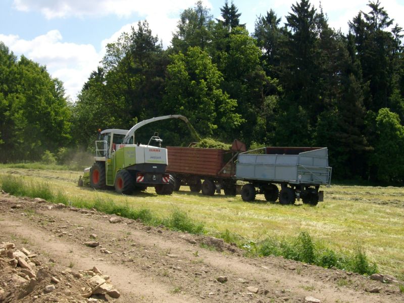 bilder/28_9_2015/DSC02766.jpg