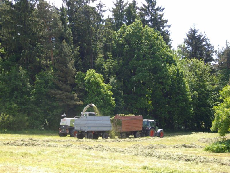 bilder/21_7_2022/DSC02849.jpg