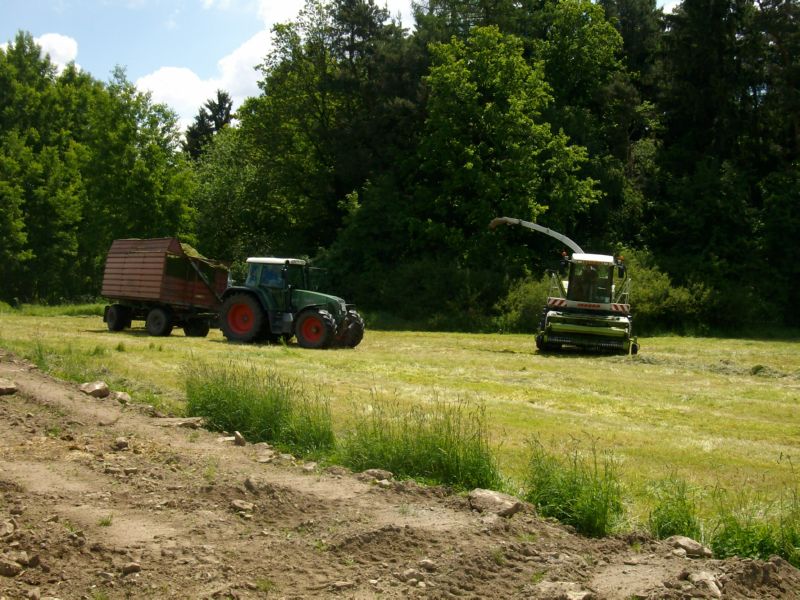 bilder/19_7_2011/CIMG3429.jpg