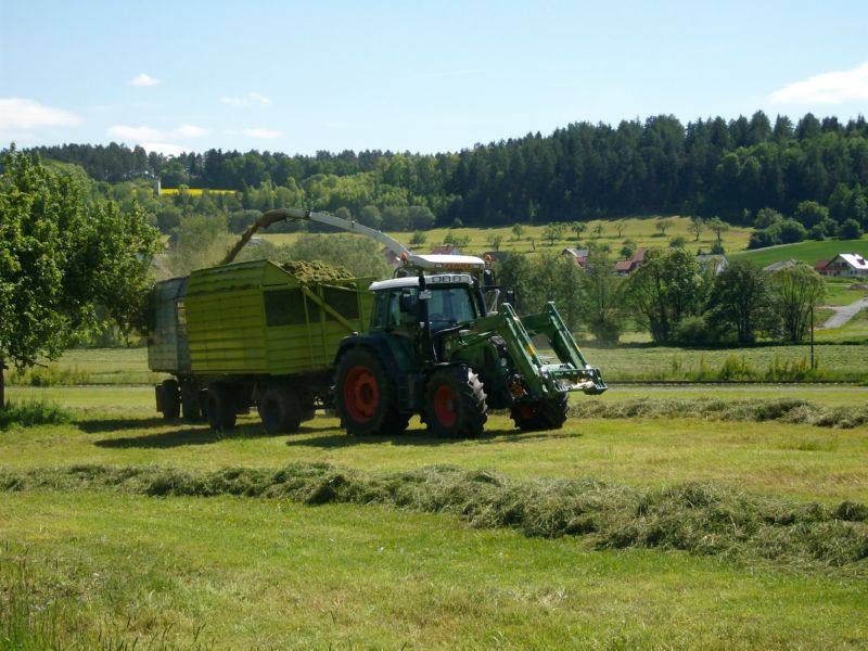 bilder/16_7_2011/CIMG3066.jpg