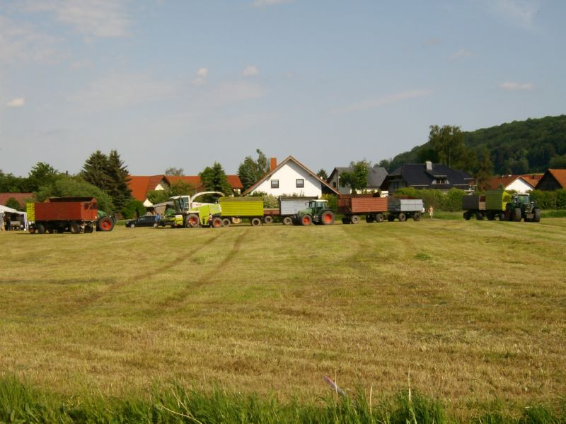 IMGP5851.jpg