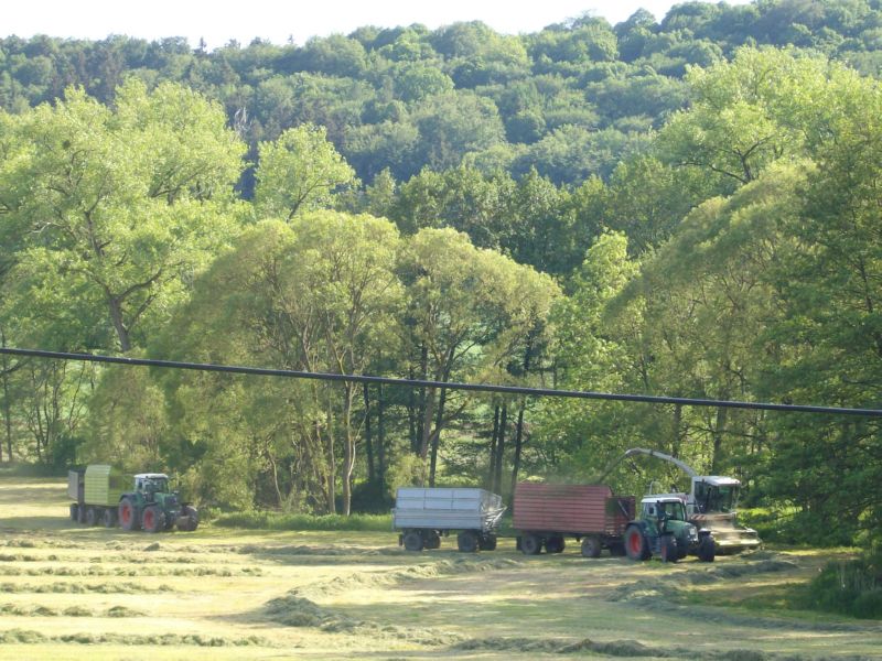 bilder/22_8_2002/lexion_25.jpg