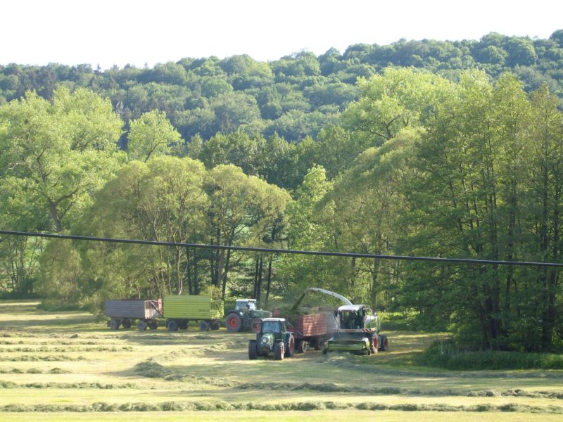 bilder/6_8_2002_2/fendt_716_+_ranger.jpg