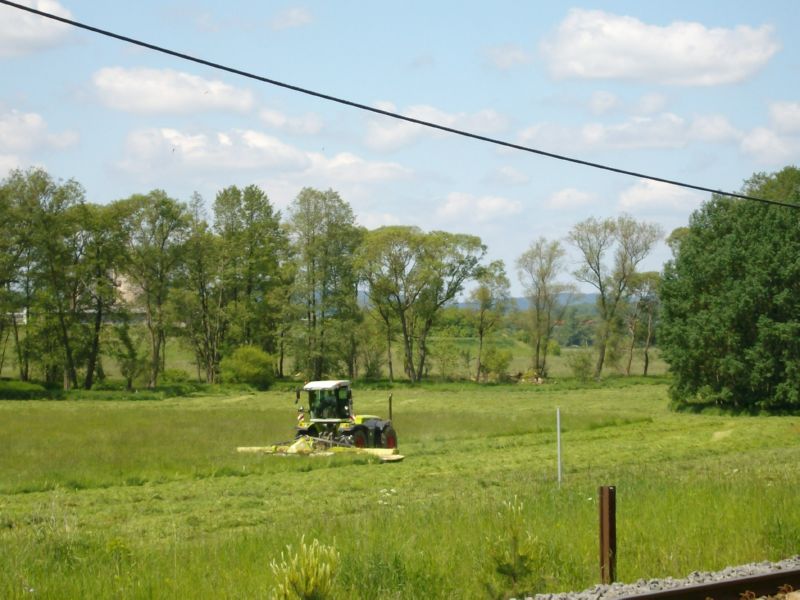 IMGP5745.jpg