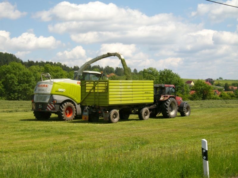 IMGP5801.jpg