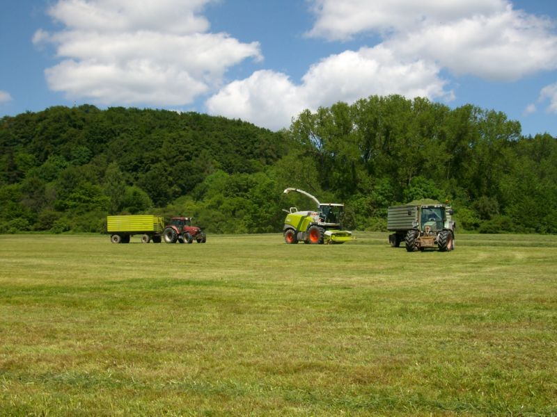 bilder/28_7_2003/weimar_fendt_zt_323_zt_303.jpg