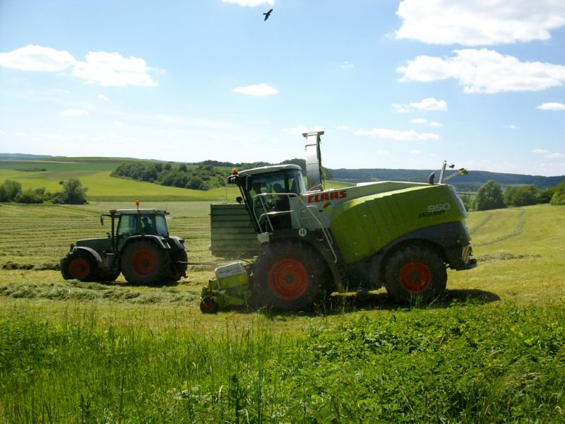 bilder/22_5_2004/jaguar_fendt_7.jpg