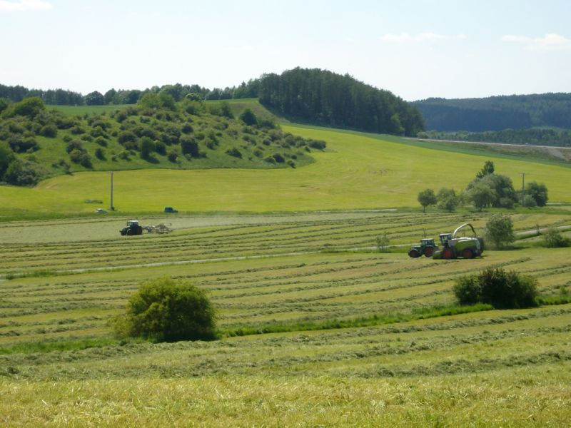 bilder/17_10_2011/CIMG5502.jpg