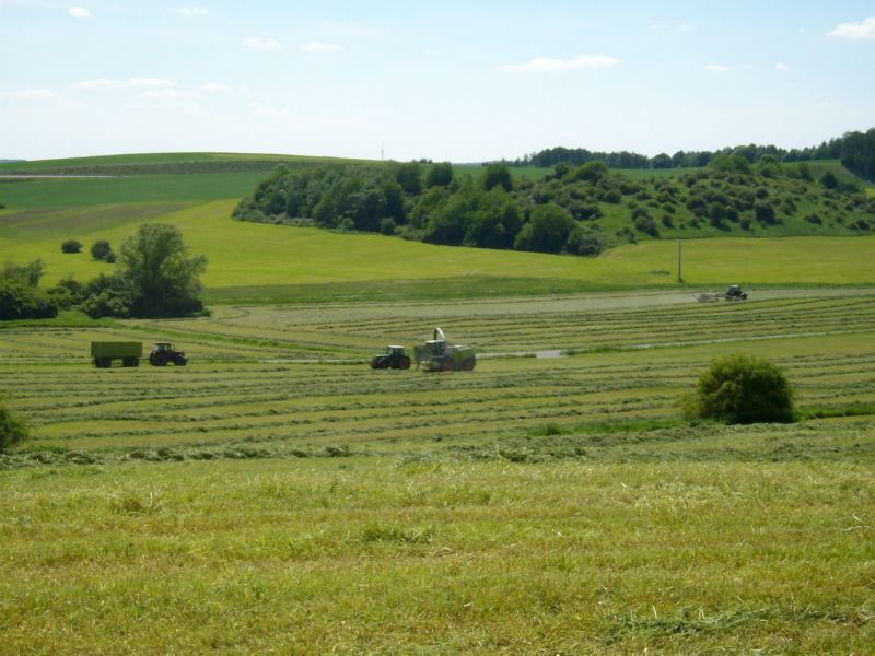IMGP5845.jpg