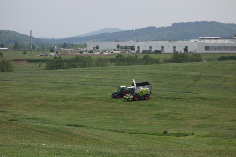 DSC01465.jpg