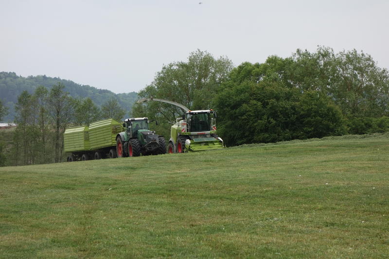 bilder/30_7_2003_2/fendt_8.jpg